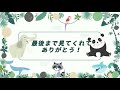 部屋に石を運ぶペンギン【‎2023‎年‎11月‎15日】【上野動物園】