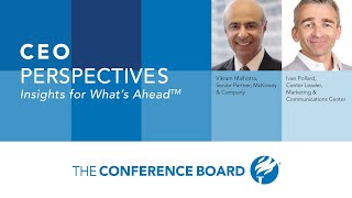 CEO Perspectives - CEO Excellence: The Best and the Rest (Webcast)