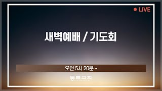 2024.11.1 / 새벽예배 기도회