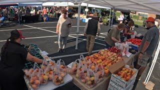 Selling Fruit at Farmers Market!