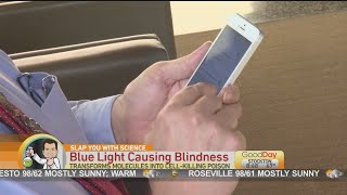 Slap You With Science: Spiders, Blue Lights, Crickets