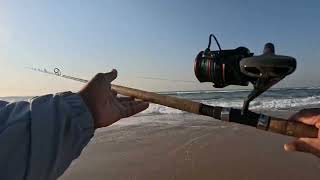 Fishing in Amanzimtoti,  Shad and some large Black Tails