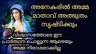 വിശ്വാസത്തോടെ പ്രാർത്ഥിച്ചാൽ അമ്മ മാതാവ് അത്ഭുതം പ്രവർത്തിക്കും