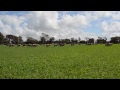 grain and graze winning at wagin