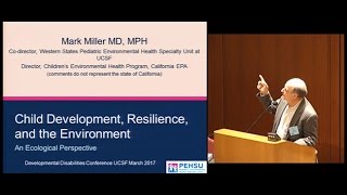 Child Development Resilience and the Environment: An Ecological Perspective
