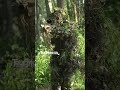 novritsch 3d ghillie suit text