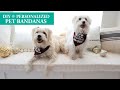 Cricut - DIY Personalized Dog Bandanas - Pets (Iron-On)