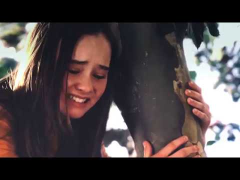 Why does Juli like the sycamore tree?