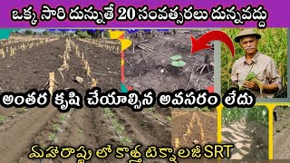 మహారాష్ట్ర లో కొత్త పద్దతి || what is SRT method || అన్ని పంటలలో srt పద్దతి వడొచ్చా