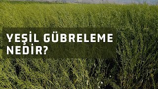 Yeşil Gübreleme nedir?