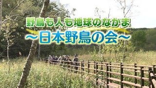 札幌ふるさと再発見　10月15日放送　野鳥も人も地球のなかま　～日本野鳥の会～