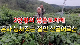 2만평의 넓은 토지에 혼자 농사짓고 계신 산골 철인 어르신?.