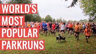 The MOST POPULAR parkruns In The WORLD