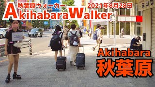 [秋葉原散歩4K] Walk in Akihabara | 夏休み最後の土曜日の秋葉原を散策（2021年8月28日）