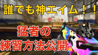 【CoDモバイル】誰でも神エイムになれる‼️猛者の練習方法を公開🔥