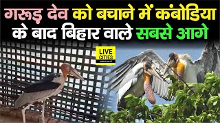 Bihar के इस जिले में Eagle का सबसे बड़ा बसेरा, यहां के लोग खुद ही करते हैं इनकी रक्षा | Bihar News