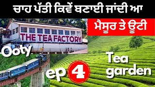 How tea is made whole process | ਚਾਹ ਪੱਤੀ ਕਿਵੇਂ ਬਣਾਈ ਜਾਂਦੀ ਆ