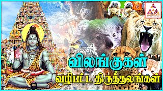 விலங்குகள் வழிபட்ட திருத்தலங்கள் | #shivan #kovil | Aadhan Aanmeegam