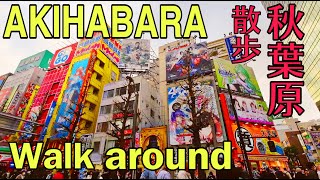 【4K】Walking Akihabara on Sunday | 歩行者天国の秋葉原を散歩 (2023)