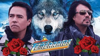 Los Temerarios Viejitas Romanticas Éxitos / Los Temerarios Románticas Del Ayer Éxitos Inolvidables