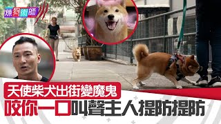 屈臣氏 Wats Petmacy 寵物藥妝呈獻：煉狗術師III｜天使柴犬出街變魔鬼 咬你一口叫聲主人提防提防！｜Eric Ko｜鄺芷凡｜柴犬｜第6集｜HOY｜HOYTV