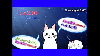 現在コロナで休園中・1990年の愛媛県立とべ動物園【古いホームビデオ】