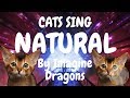 Cats Sing Natural by Imagine Dragons | Cats Singing Song