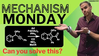 Palladium Catalysis Explained Like You’ve Never Seen Before! Mechanism Monday #66