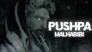 Mal Habibi - Allu Arjun Edit || Pushpa 2 Edit ||  Pushpa X Allu Arjun Edit @DevEditzUK09
