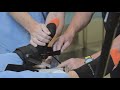 9. sager splint application tns trauma procedure video series