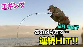 【エギング】この釣り方すごい!! 堤防で大きなヤリイカの数釣り♪