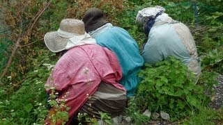 おっさん二人旅　日本三秘境　祖谷　こりゃたまげた！案山子の里　剣山　徳島県　2013.8 アクア