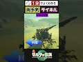 両手剣ライネルを倒す方法！攻撃パターン・回避のコツ・操作方法を解説！【ゼルダの伝説 ティアーズ オブ ザ キングダム zelda tears of the kingdom】