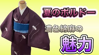 夏の濃地は素敵よね♪/絞りの鳥が舞うお洒落小紋/夏着物/浴衣/絞り染め/絞り浴衣