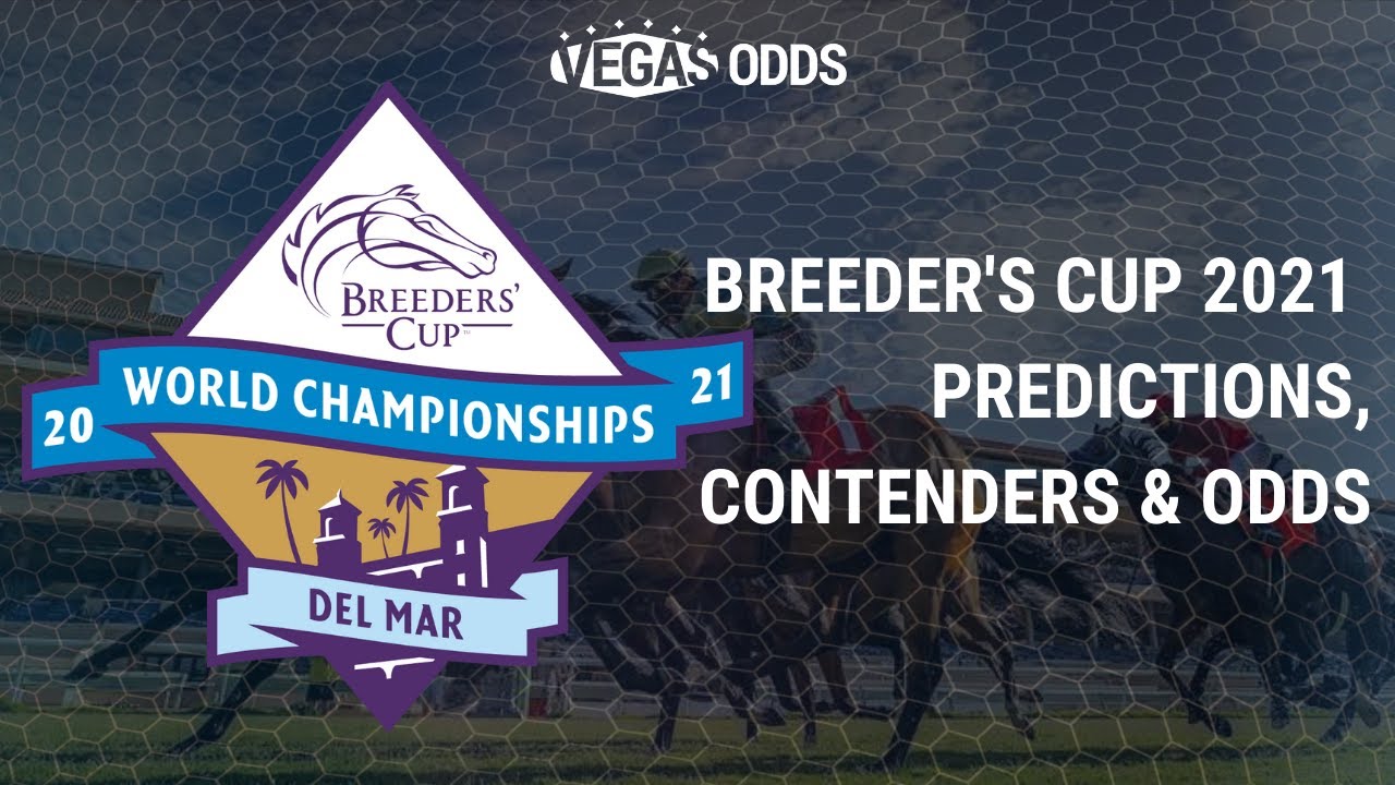 Breeder's Cup 2021 Picks | Contenders, Predictions, Odds For TOP Races ...