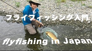 フライフィッシング入門 　コイ釣り　Flyfishing in Japan