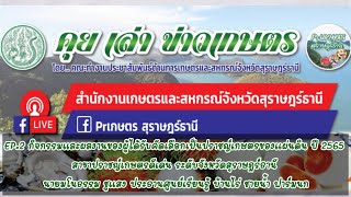 คุย เล่า ข่าวเกษตร EP.2 กิจกรรมและผลงานฯ นายมโนธรรม ชูแสง ปราชญ์เกษตรดีเด่น ระดับจังหวัดสุราษฎร์ธานี