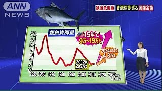 絶滅危惧　太平洋クロマグロ　日本がルール作り提案(15/08/31)