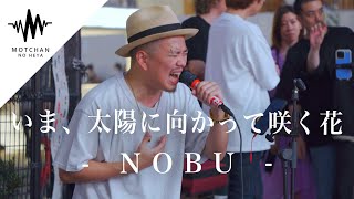 【奇跡の遭遇】新宿にできた一際大きな人集りの中で歌っていたのがまさかのご本人様にテンション上がりました!! いま、太陽に向かって咲く花 / NOBU