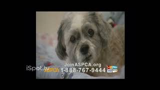 ASPCA TV Commercial For If Animals Could Speak