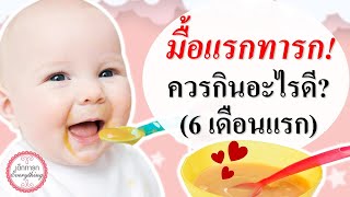 อาหารทารก : ทารก 6 เดือนแรก ควรทานอะไร ?  | อาหารเด็กอ่อน | เด็กทารก Everything