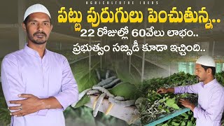 Silkworm Farming | పట్టుపురుగుల పెంపకం | Successful Sericulture Farmer | Shiva Agri Clinic