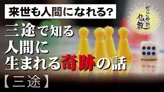 三途の川でお馴染みの《三途》本来の意味とは【なごやか仏教141】