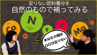 化学肥料はもう要らない!? 自然素材だけで補充する方法【農業実験】