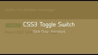 CSS Toggle Switch | HTML & CSS