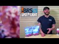 using red sea trace colors with your kalkwasser dosing brstv spotlight