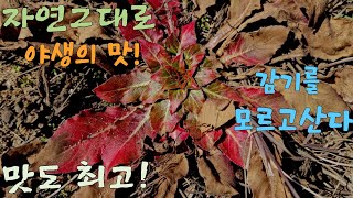 감기한번 안걸리고 겨울을 날수있습니다~질병을 몰아내며/ 근육과 골격이 튼튼해진다