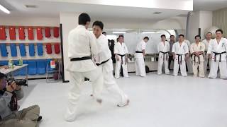 【新極真会】2019年JKO昇段審査会　内藤健太　昇段組手　SHINKYOKUSHINKAI KARATE