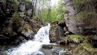 Kleine Wanderung zu den Rißlochfällen am Arber ( Bayerischer Wald)