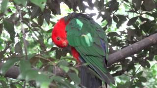 キャンベルタウン野鳥の森　〜埼玉県越谷市〜